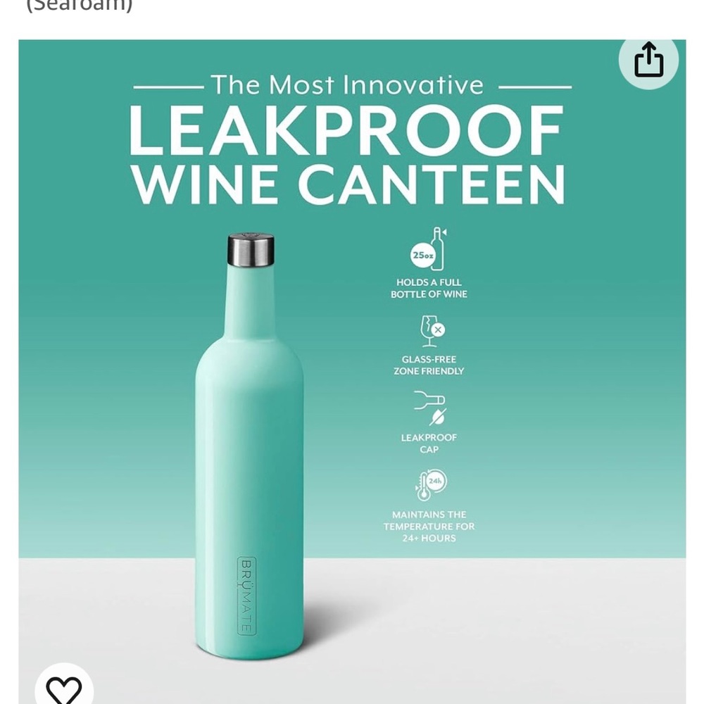 Brumate Wine Canteen Seafoam and Tumbler Succulent